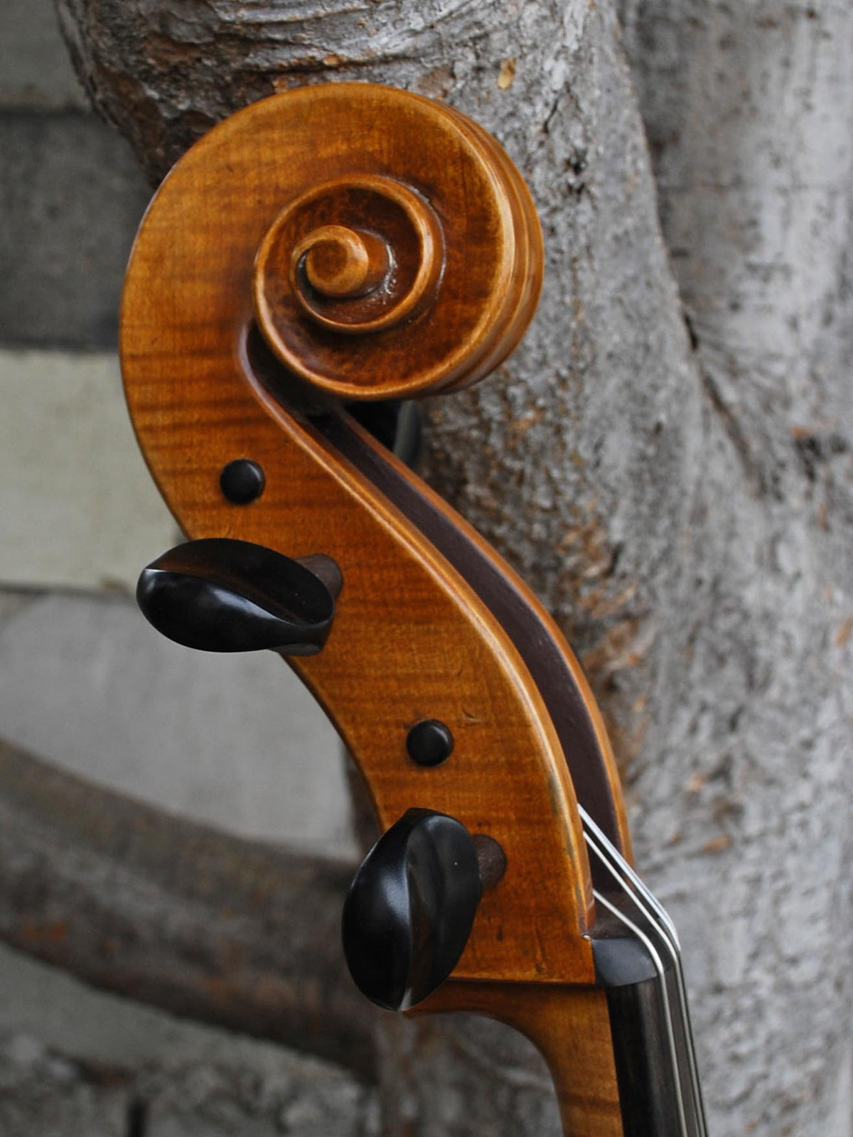 Jan Szlachtowski Master Level 'Gofriller' 4/4 Cello