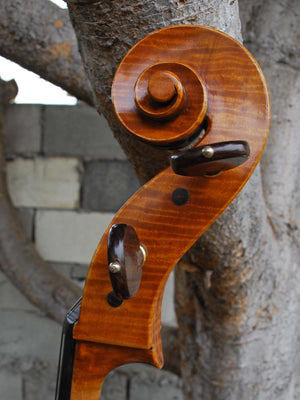 Cracovia Montagnana Deluxe 4/4 Cello