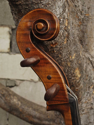 C.L. Wynn 620 'Gofriller' 4/4 Cello