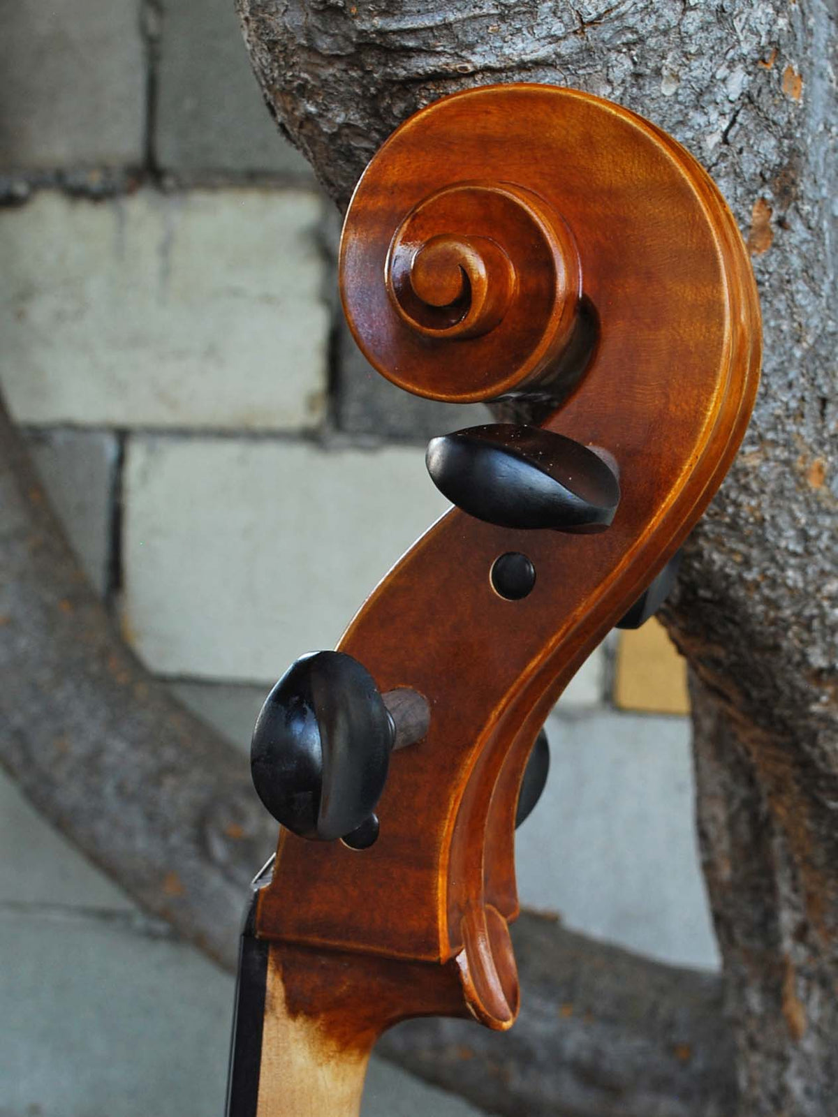 Vivo 'King Amati 1570' 4/4 Cello