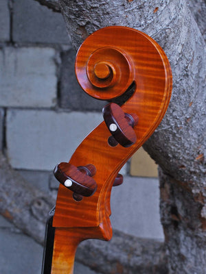 Helmut Illner model V 4/4 Cello 2004
