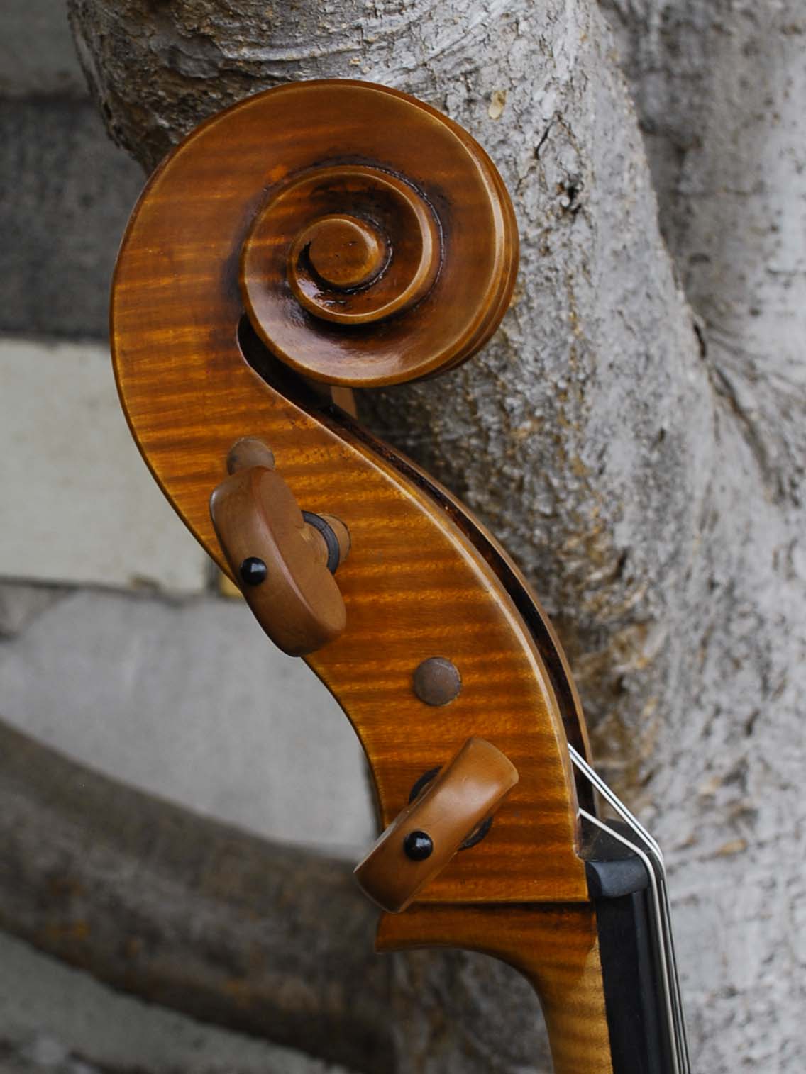 Pietro Lombardi model 502 - 7/8 Cello