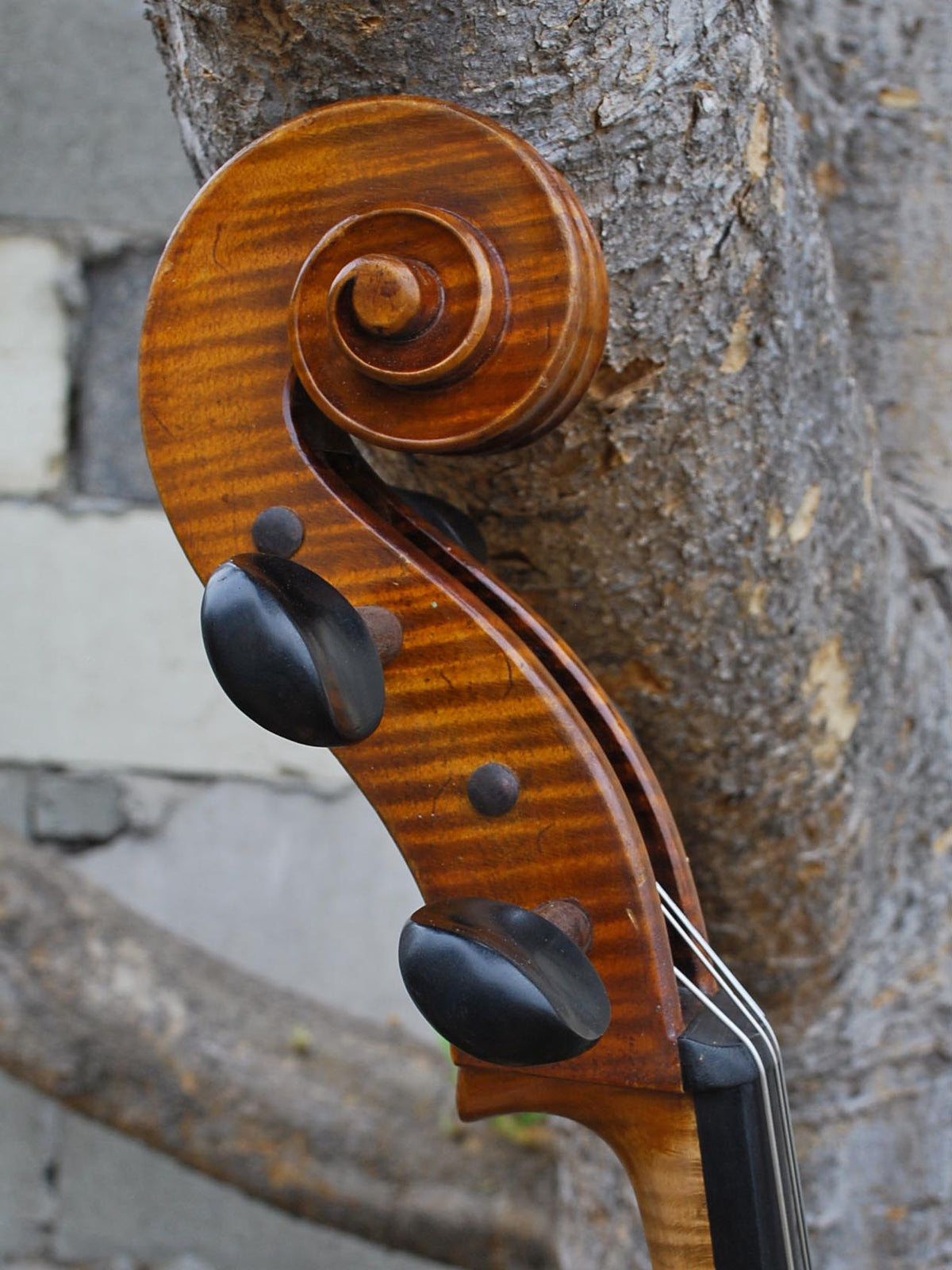 SIR 4/4 Cello 2000
