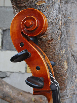 Vivo 100 '1710 Strad' 4/4 Cello