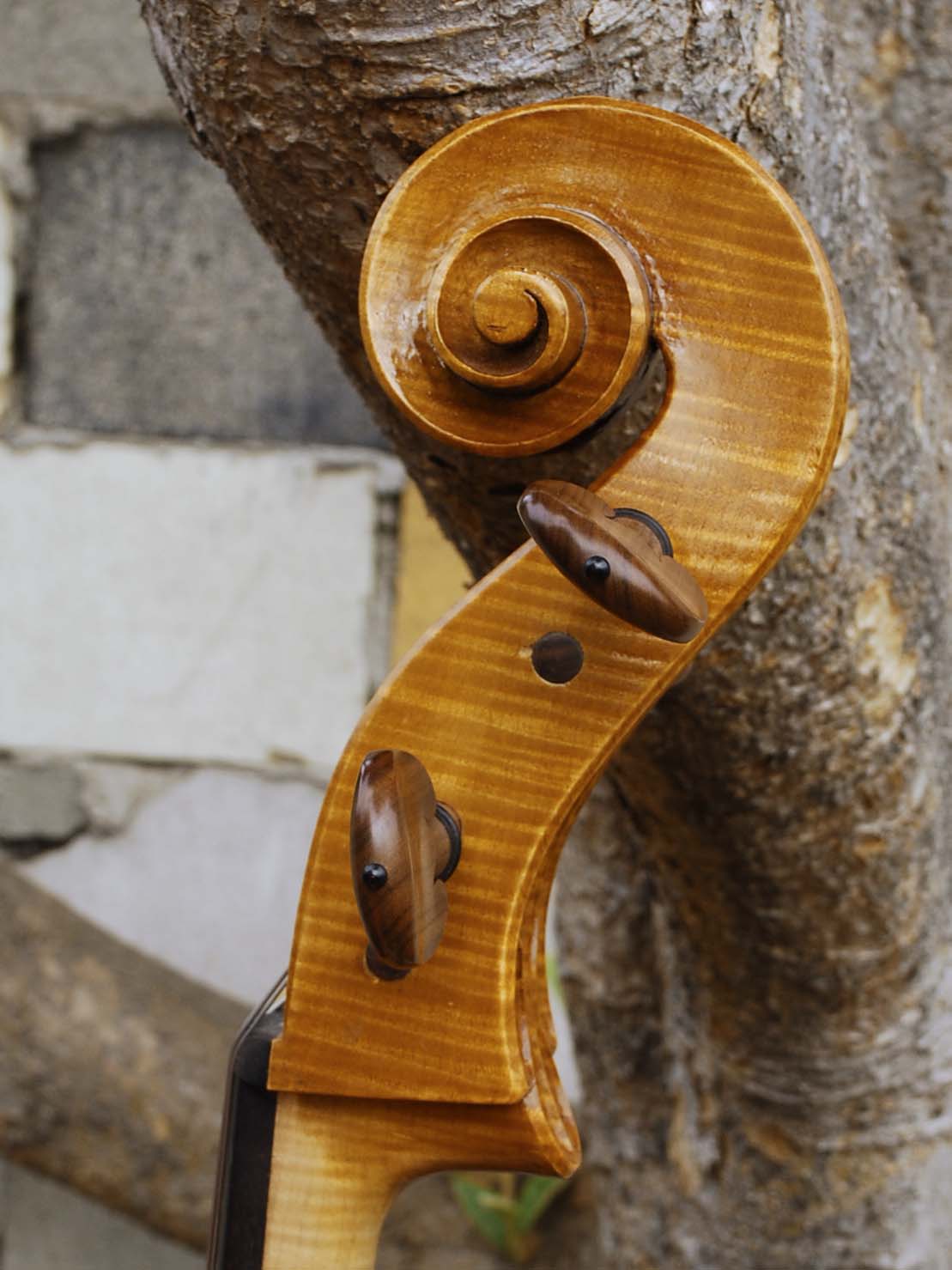 Tadeusz Slipek Master 'Jacobs' Golden 4/4 Cello