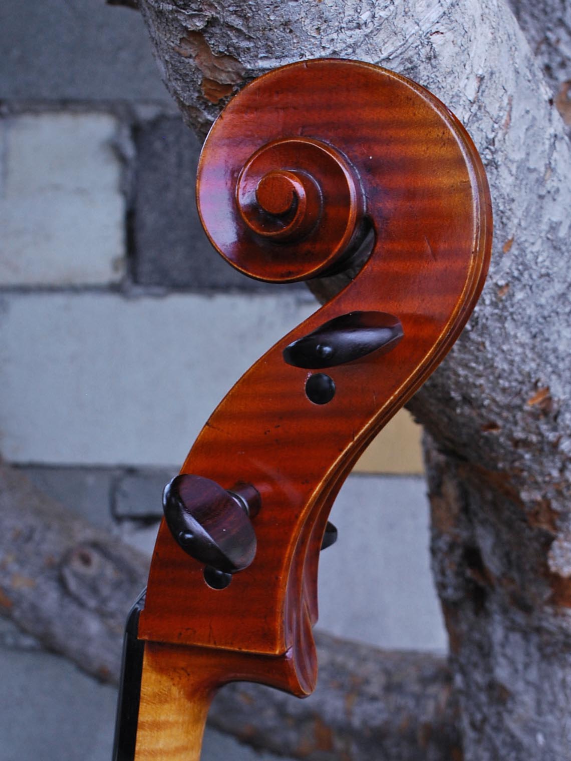 Dimbath/Gill Master Soloist model X7 'Ruggeri' Cello