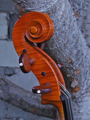 Helmut Illner model V 4/4 Cello 2004