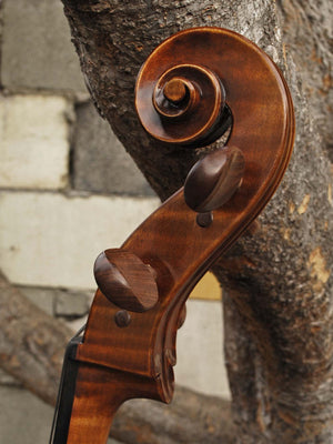 C.L. Wynn 620 'Gofriller' 4/4 Cello