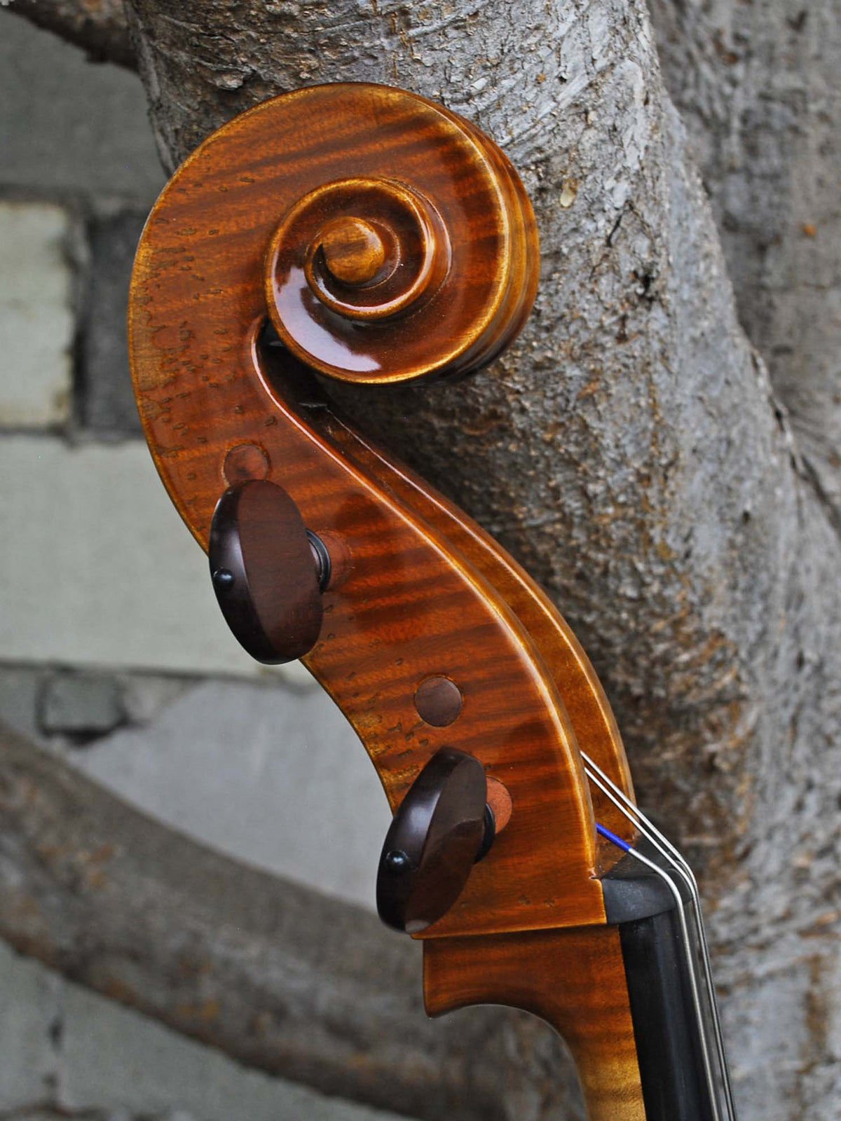 Salvatore Callegari 'Gofriller 1693' 4/4 Cello