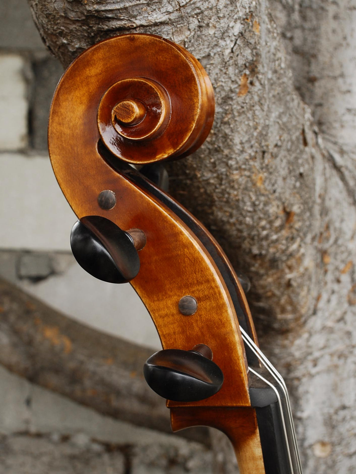 Vivo Guadagnini 1777 'Simpson' Replica 4/4 Cello (26120)