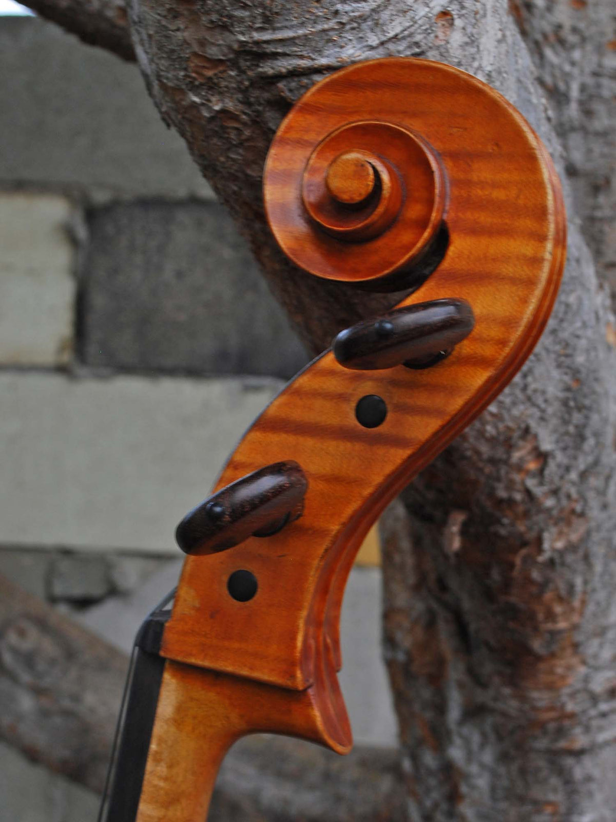 Paul Mangenot early 20th Century 4/4 Cello