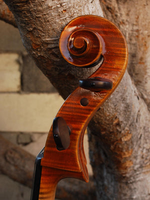 S. Callegari 'Montagnana 1739 Sleeping Beauty' 4/4 Cello