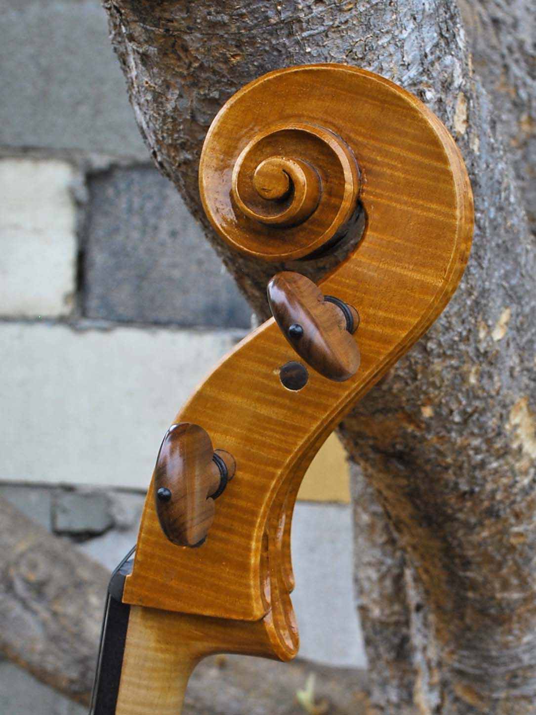 Tadeusz Slipek Master 'Jacobs' Golden 4/4 Cello