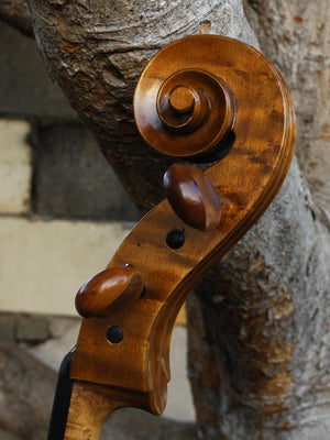 Topa Workshop Bird's Eye Maple 4/4 Cello