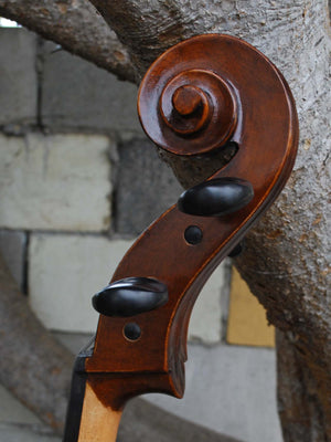 Eastman model 305 'Strad'  - 4/4 Cello (B)
