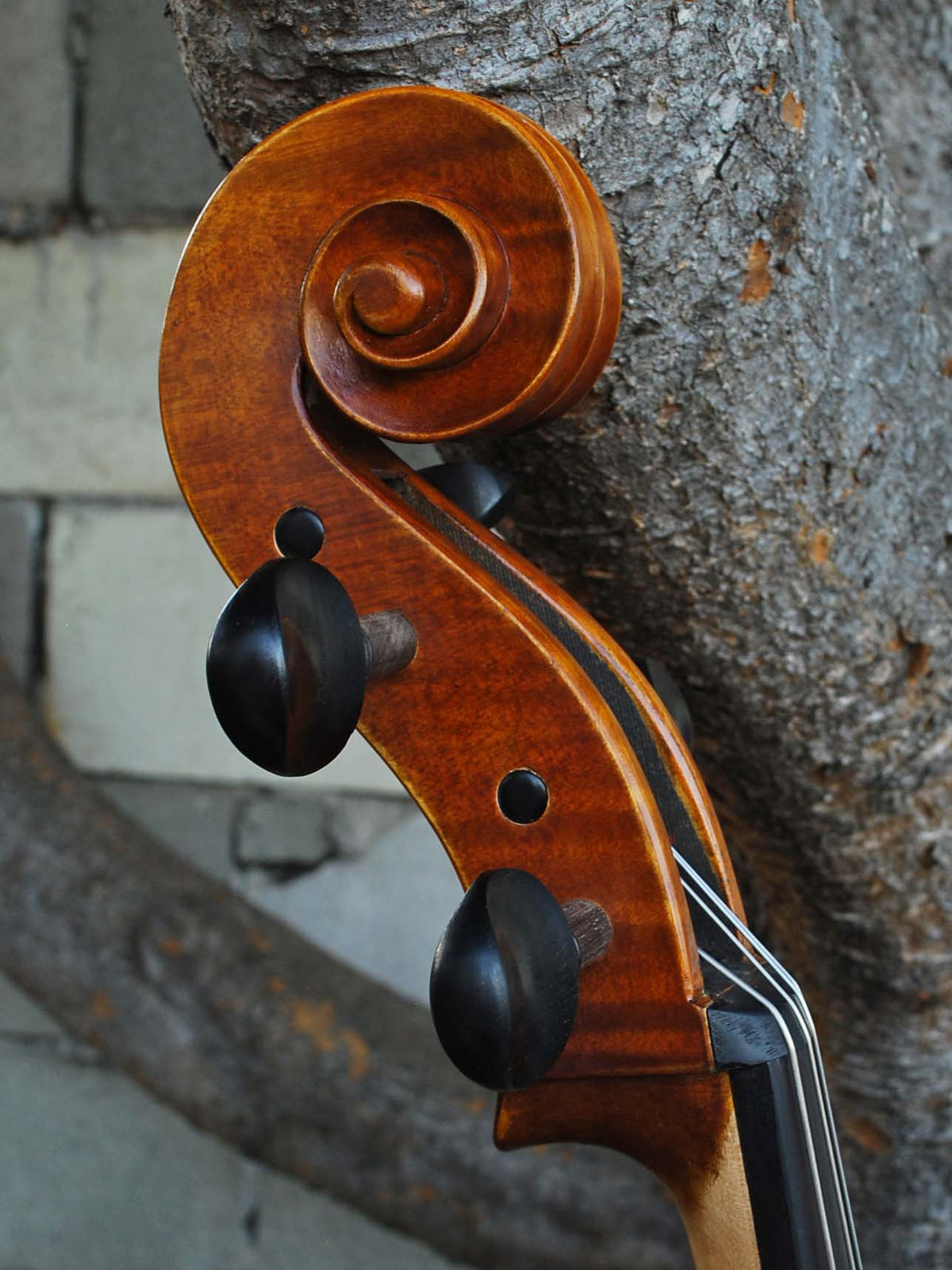 Vivo 'King Amati 1570' 4/4 Cello