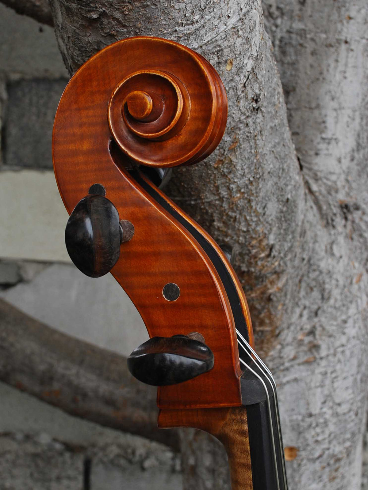 Nicholas Baciu #5 7/8 Cello (Romania) (121594)