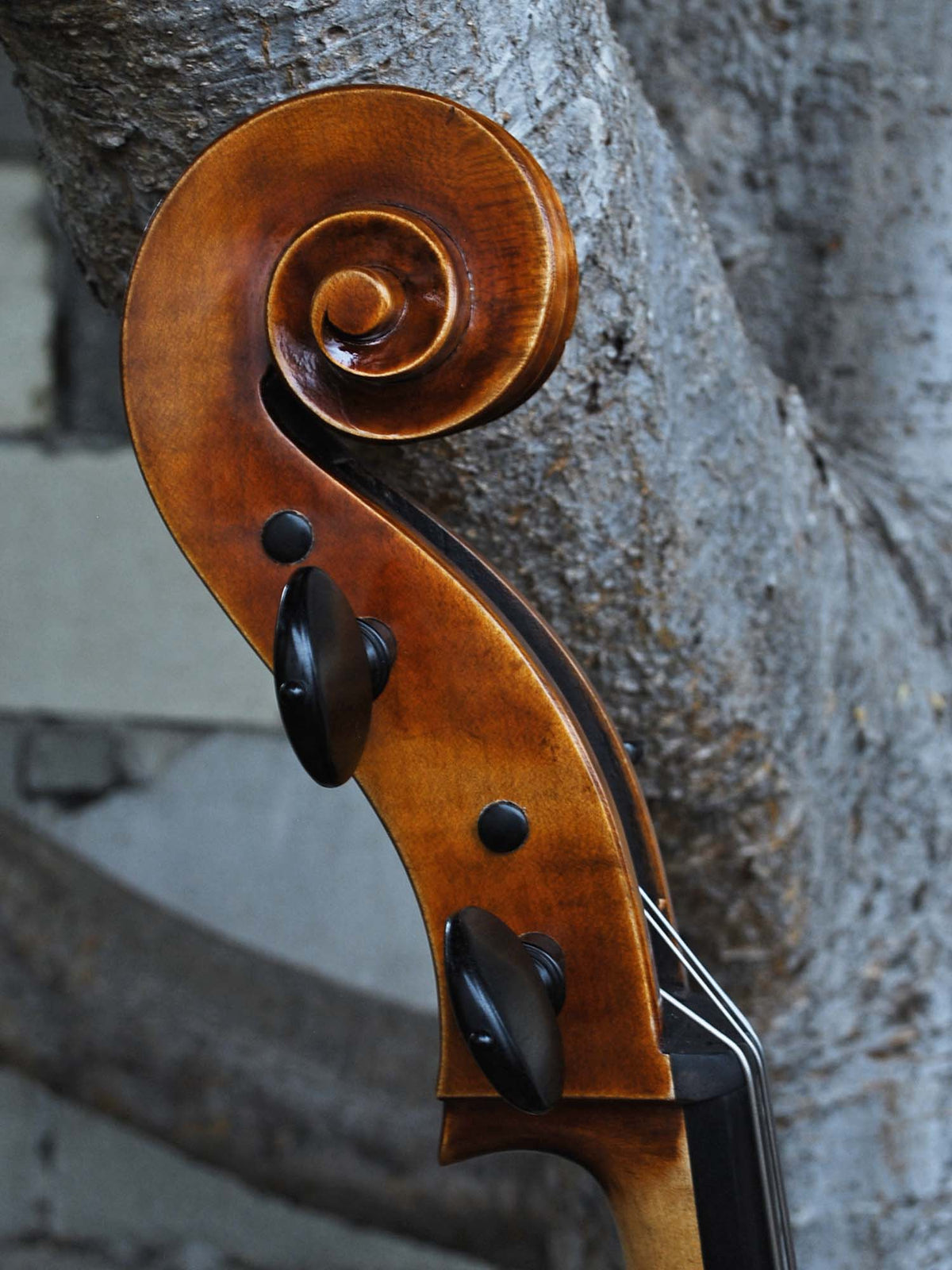 Vivo Guadagnini 1777 'Simpson' Replica 4/4 Cello (25017)