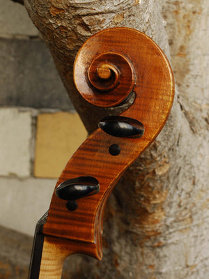Jason Starkie '1717 Rogeri' Master Grade 4/4 Cello