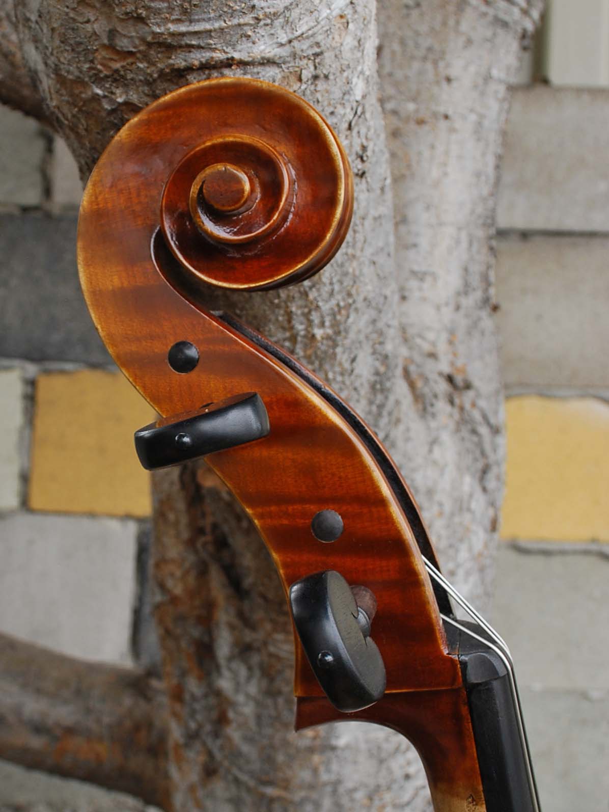 Fire Phoenix FC500 'Artista' 4/4 Cello