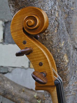 Tadeusz Slipek Master 'Jacobs' Golden 4/4 Cello