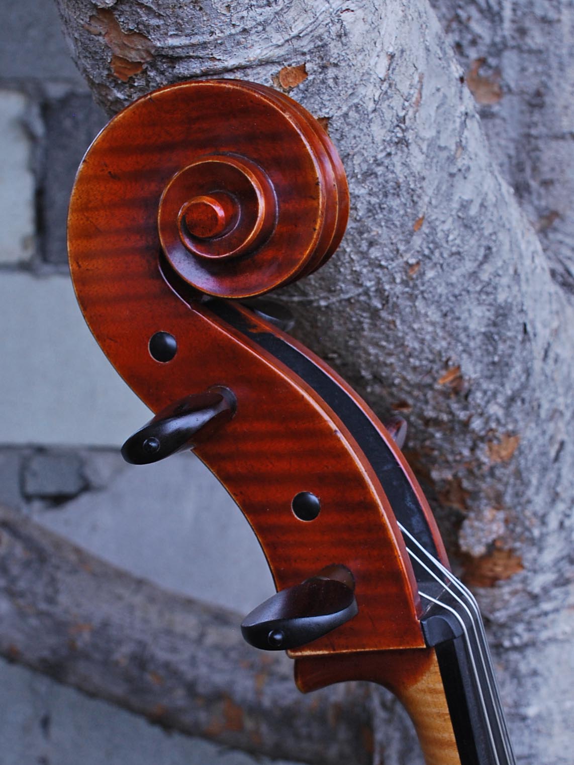 Dimbath/Gill Master Soloist model X7 'Ruggeri' Cello