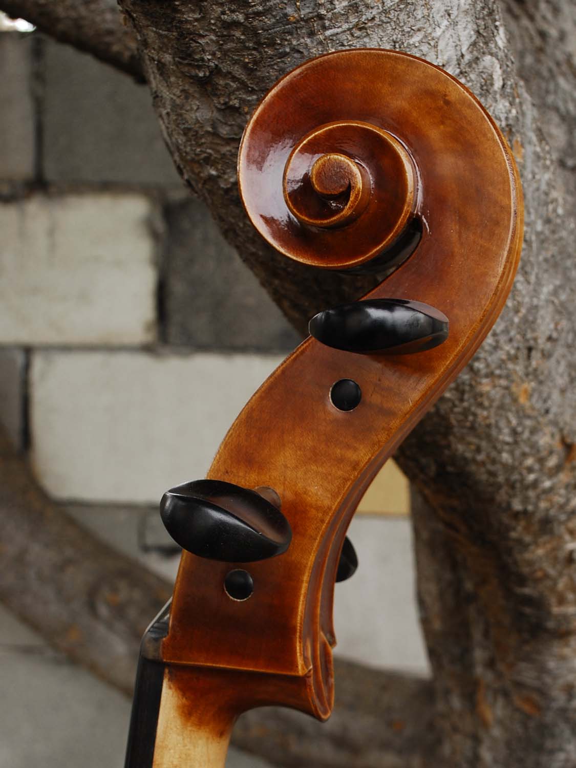 Vivo Guadagnini 1777 'Simpson' Replica 4/4 Cello (26024)