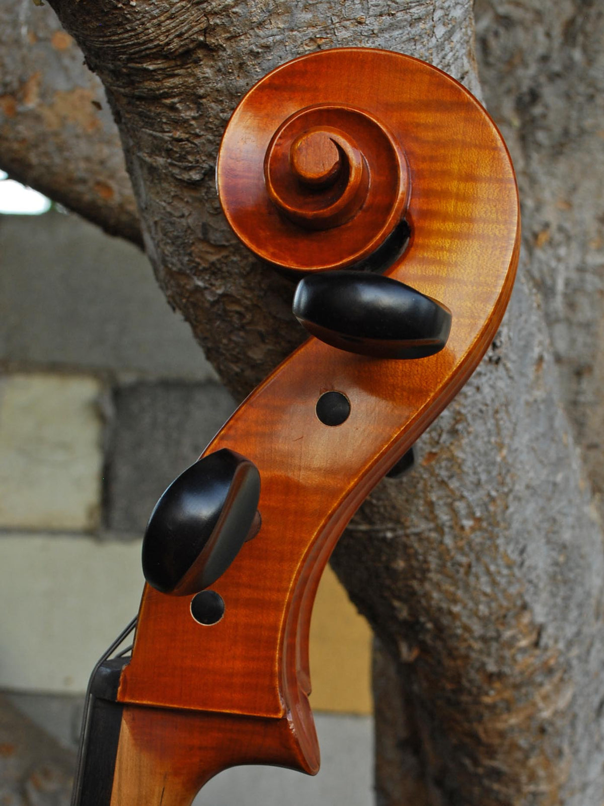 Angel Taylor model 420 7/8 Cello