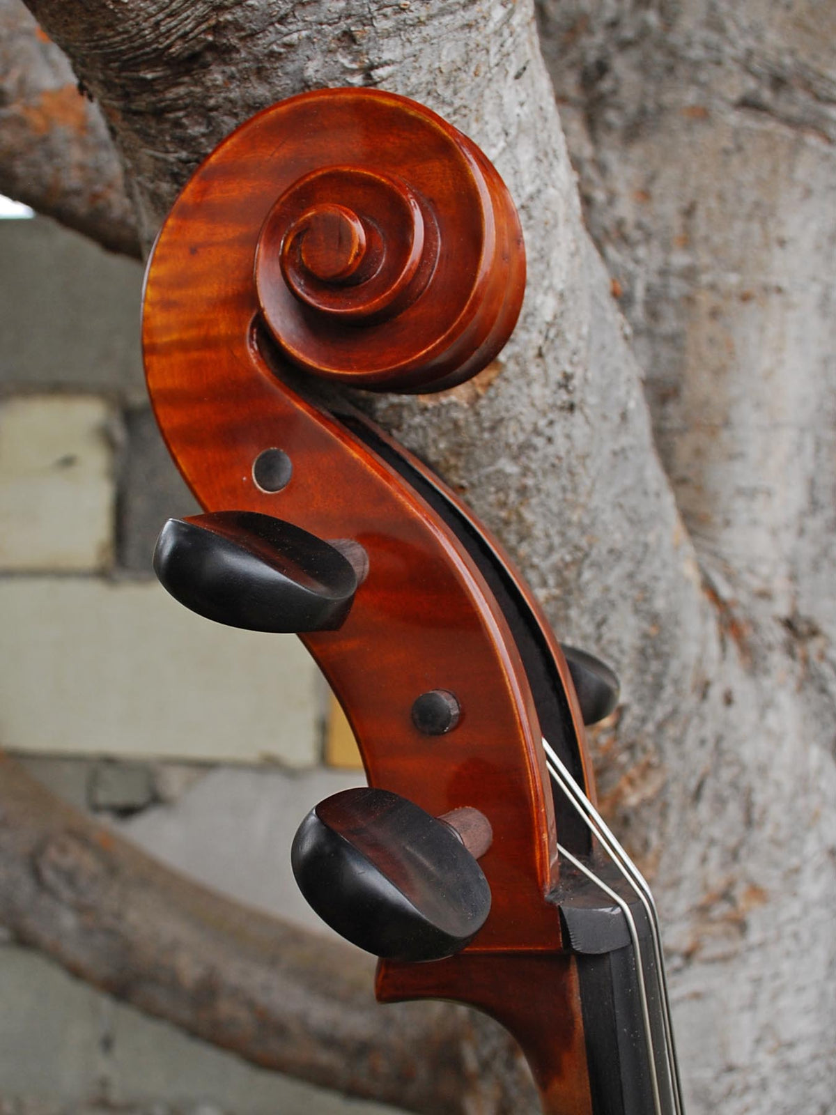 C.L. Wynn 520 'Montagnana' - 4/4 Cello