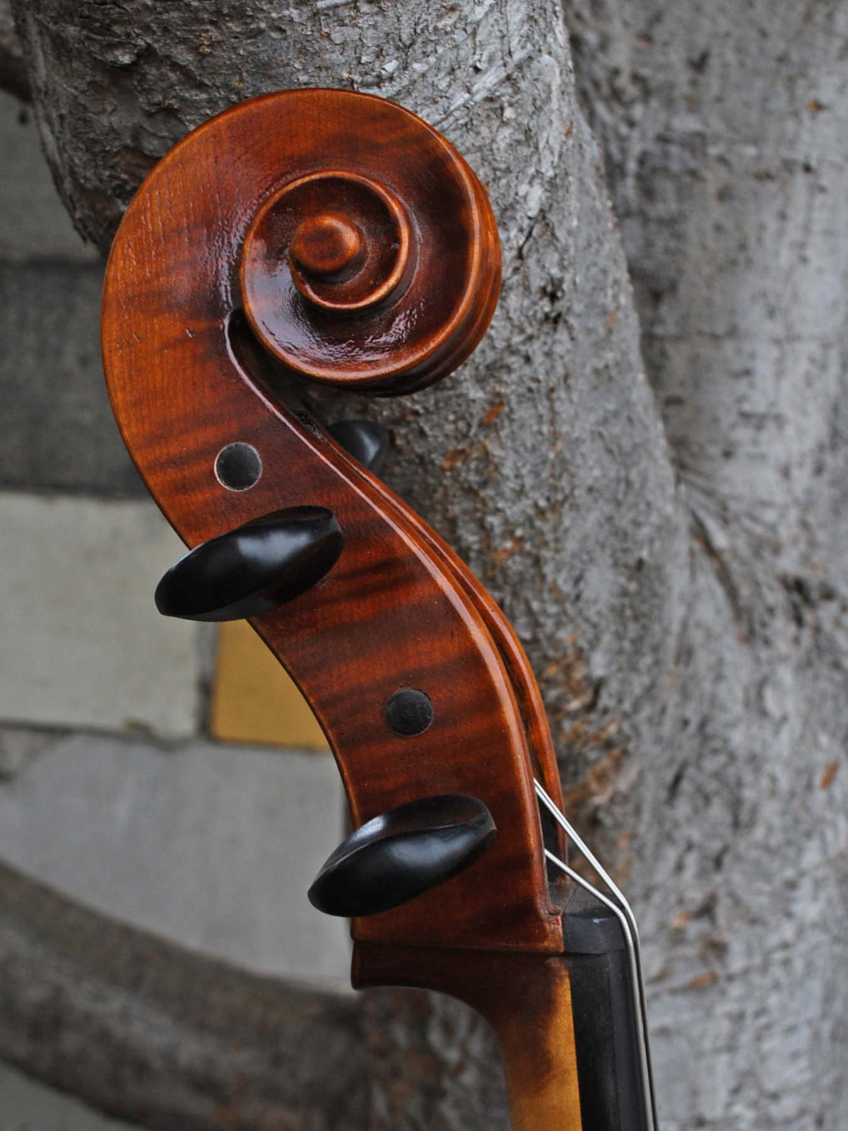 Vivo Strad model 200 3/4 Cello