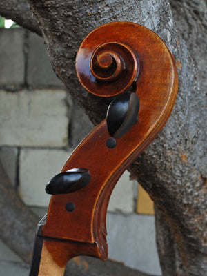 Vivo Limited Eurowoods 'Stradivari' 4/4 Cello