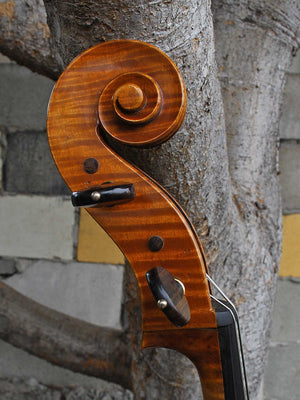Cracovia Montagnana Deluxe 4/4 Cello