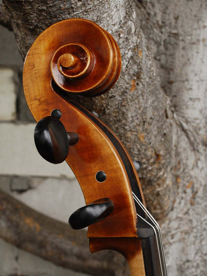 Vivo Guadagnini 1777 'Simpson' Replica 4/4 Cello (26024)