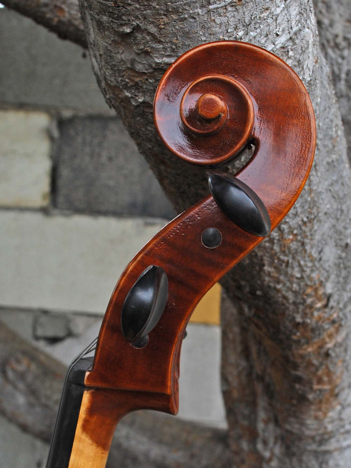 Vivo Strad model 200 3/4 Cello