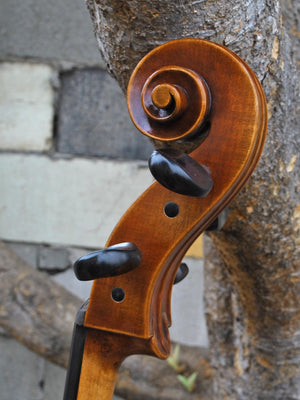 Hans Werner 725 'Master' 4/4 Cello