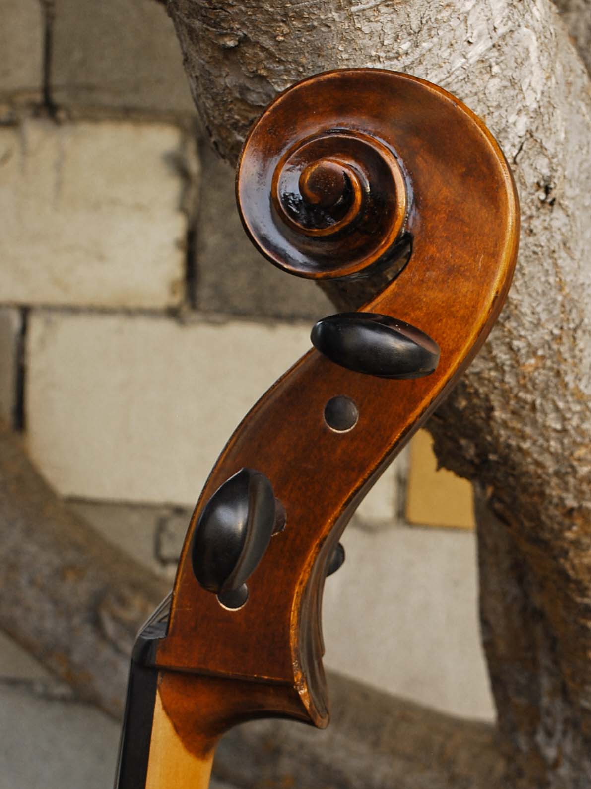 Eastman model 305 'Strad'  - 4/4 Cello (A)