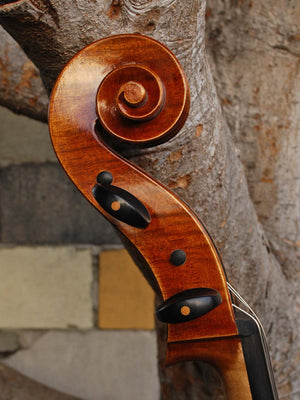 Vivo Special Eurowoods 4/4 Cello