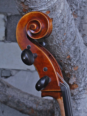 Johannes Seibert Model 400 'Stradivari' 7/8 Cello