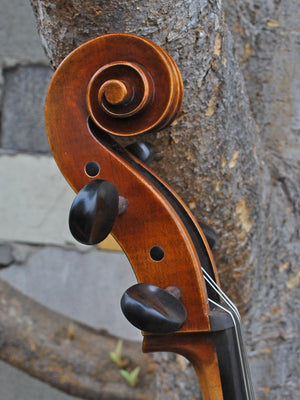 Hans Werner 725 'Master' 4/4 Cello