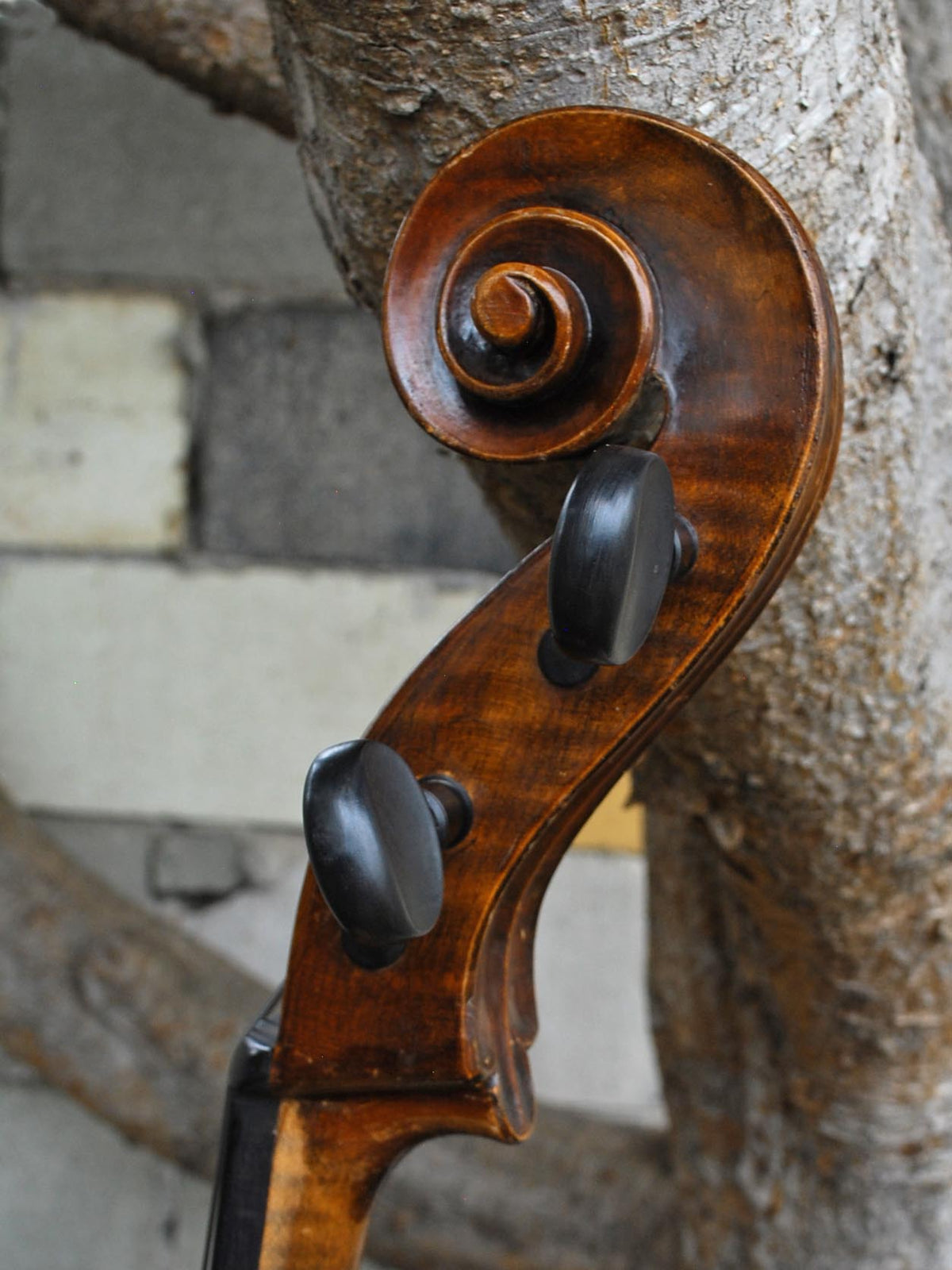 John Juzek Master Art 4/4 CELLO