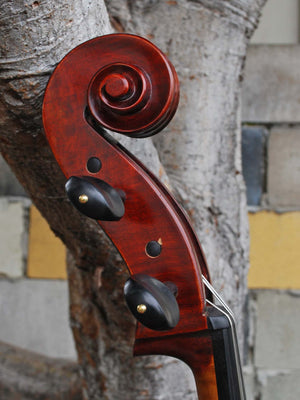 Jean-Pierre Lupot 'Strad' model 501 - 4/4 Cello
