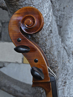 Vivo model 400 Strad 4/4 Cello (B)