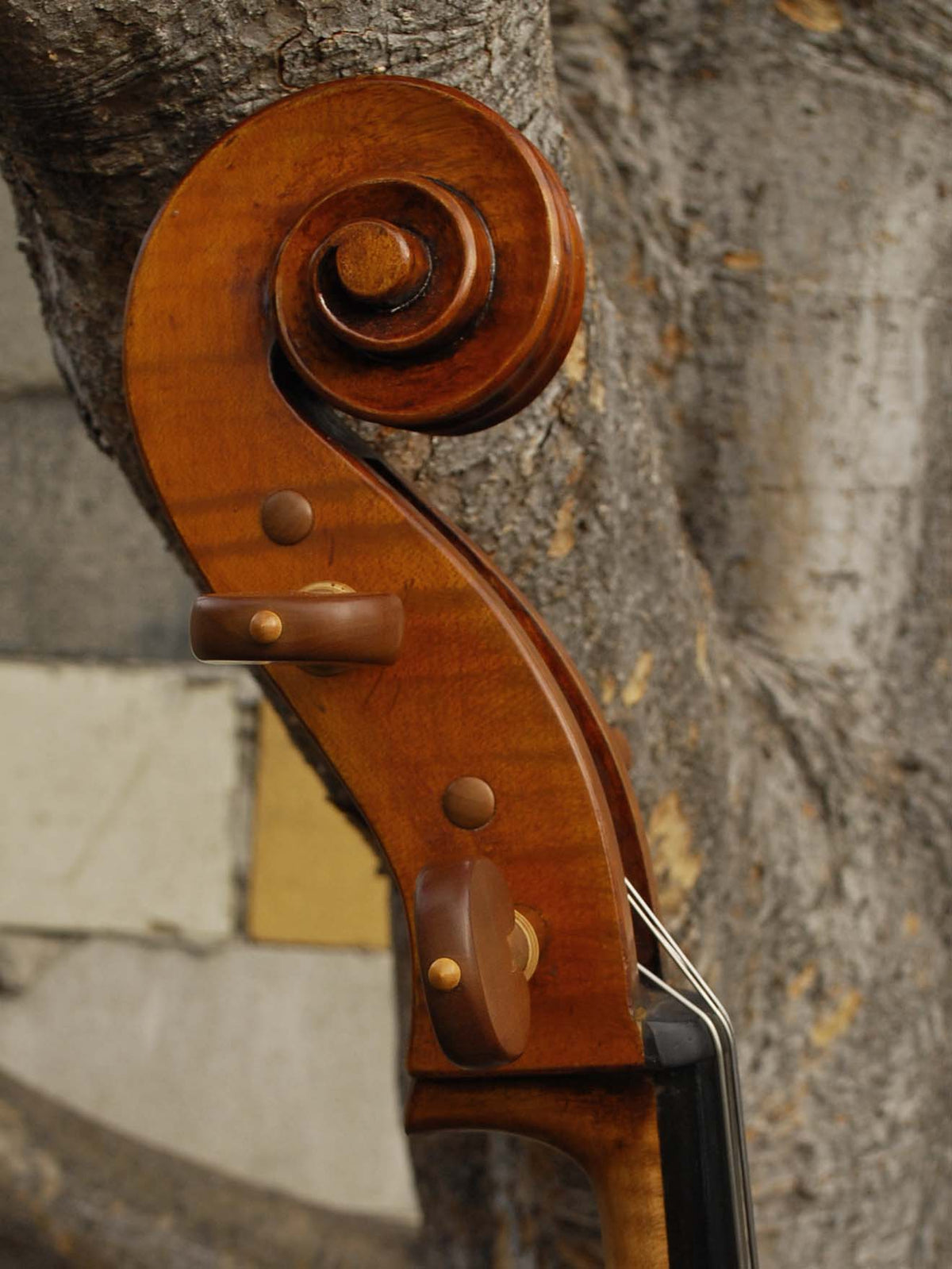 Raul Emiliani model 928 'Stradivari' 4/4 Cello