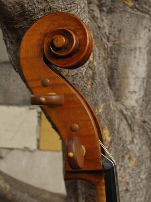 Raul Emiliani model 928 'Stradivari' 4/4 Cello