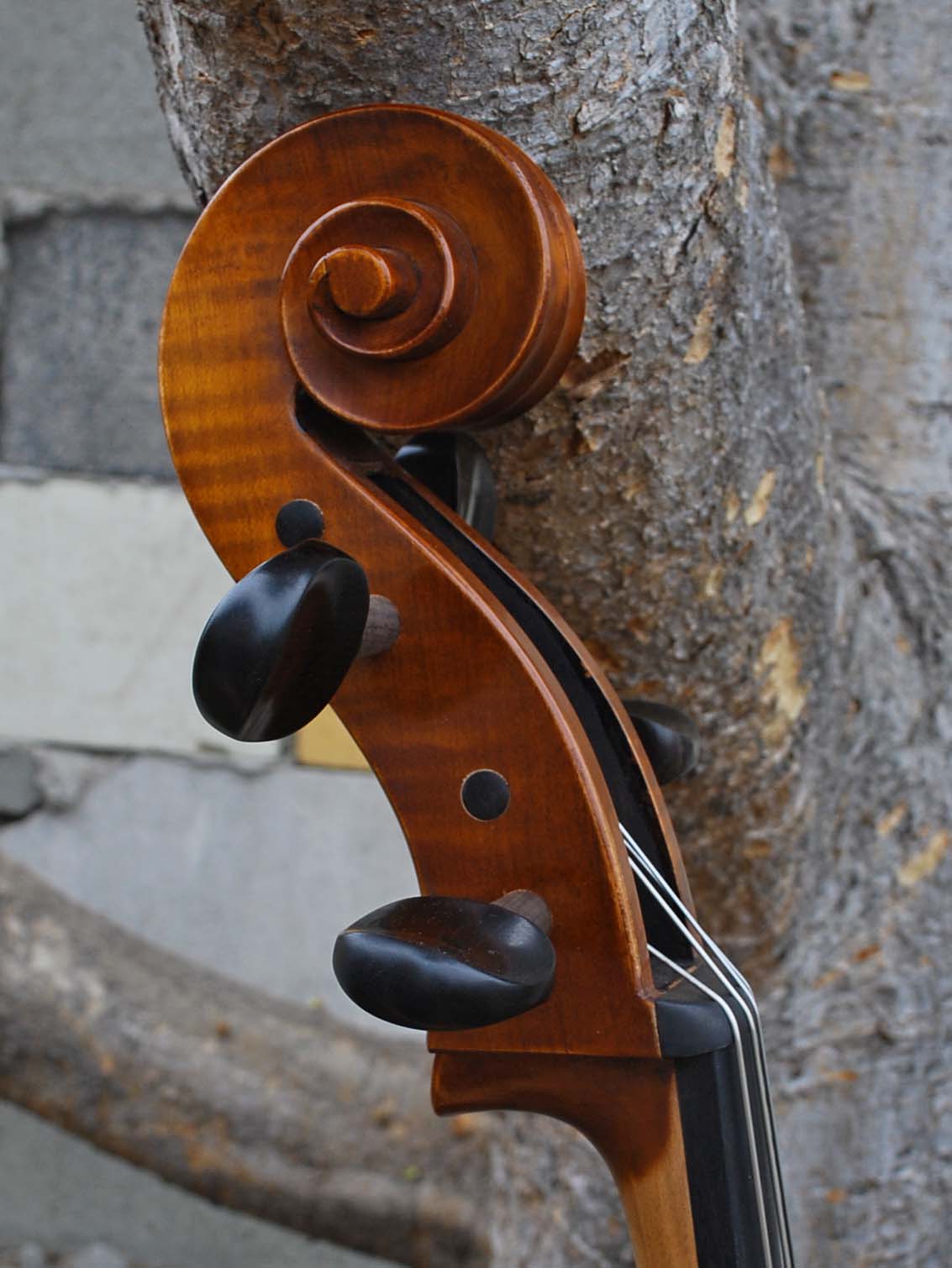 C.L. Wynn 520 'Strad' 7/8 Cello (0726)