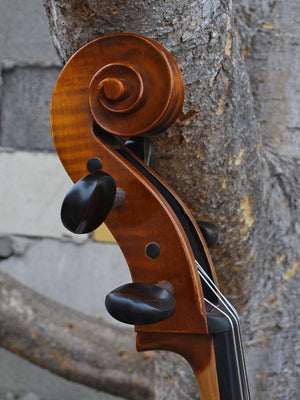 C.L. Wynn 520 'Strad' 7/8 Cello (0726)
