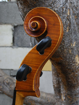 J.W. Schult early 20th Century - 4/4 Cello