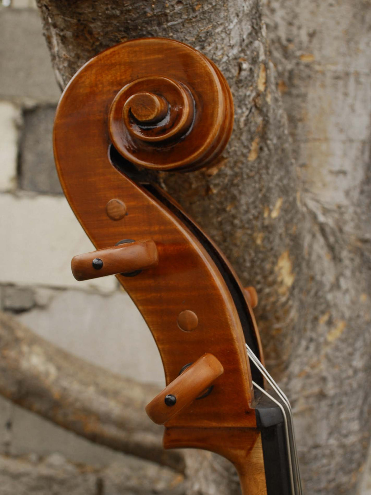 Pietro Lombardi 502 'Stradivari' 4/4 Cello
