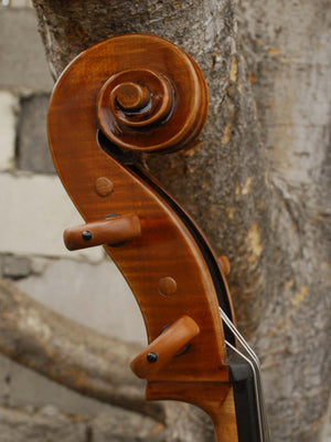 Pietro Lombardi 502 'Stradivari' 4/4 Cello