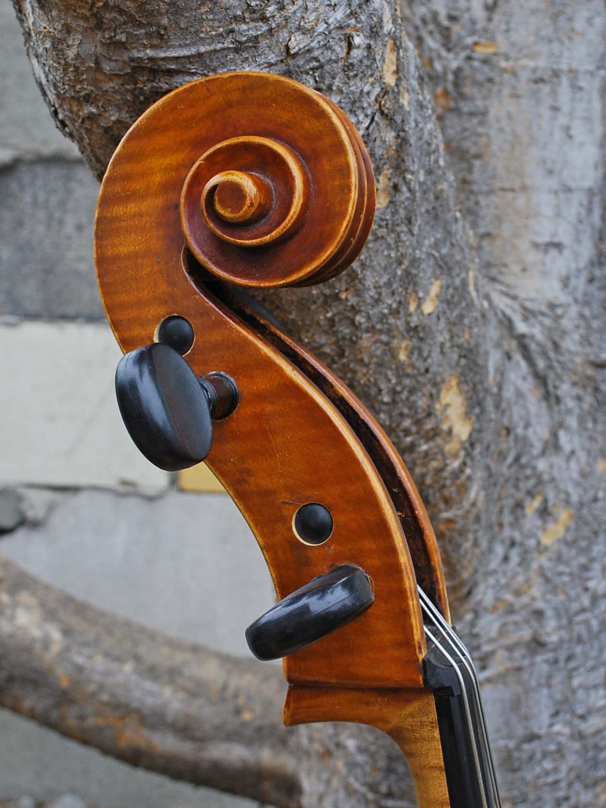 J.W. Schult early 20th Century - 4/4 Cello